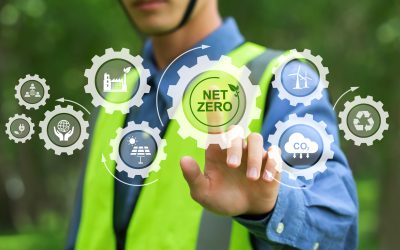 What Companies Need To Know About The New FTC Green Guides